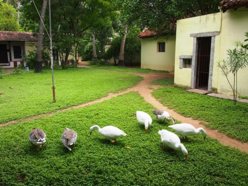 Indeco Hotels Swamimalai Kumbakonam Dış mekan fotoğraf